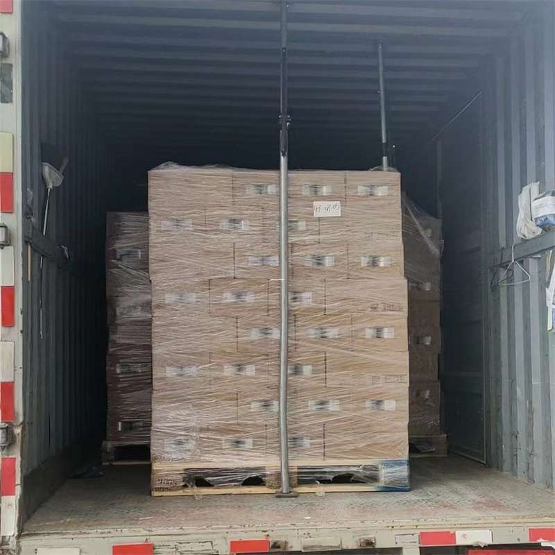 六合区龙岩市物流专线运输：多元服务与高效体验